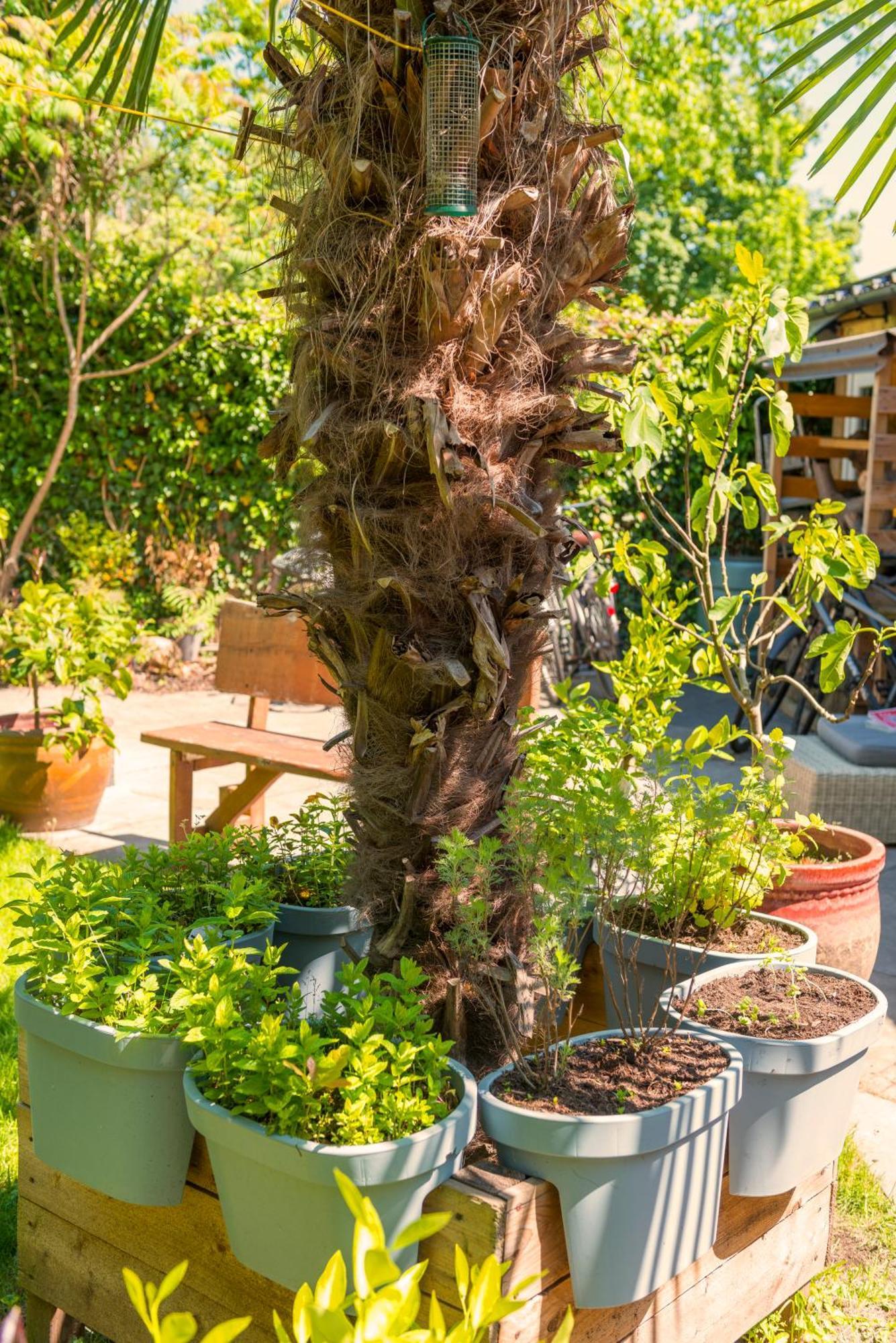 Tiny House - Leenfietsen, Eigen Keuken En Badkamer Nijmegen Dış mekan fotoğraf