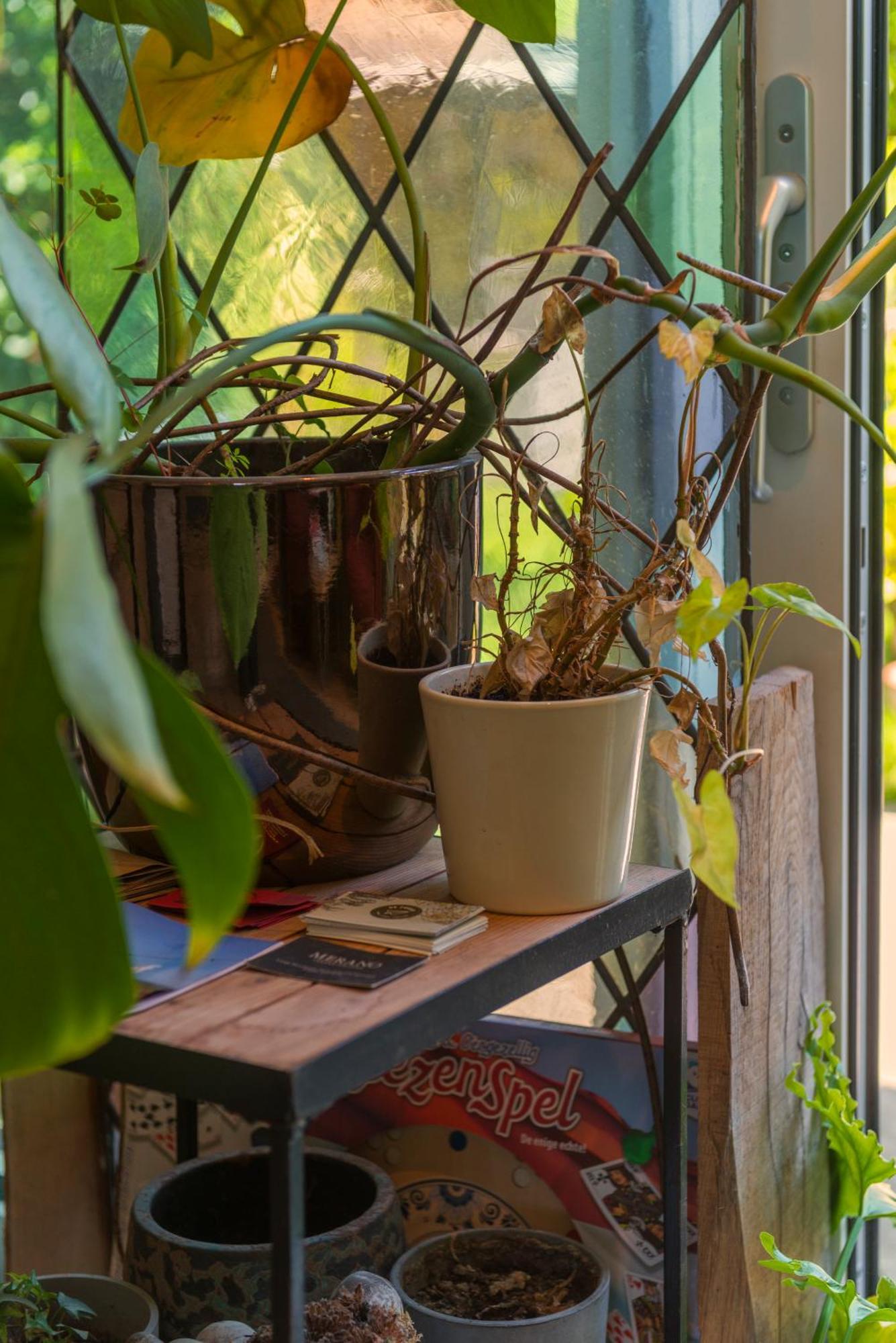 Tiny House - Leenfietsen, Eigen Keuken En Badkamer Nijmegen Dış mekan fotoğraf